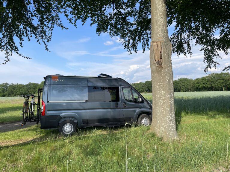 Roze Roadtripper